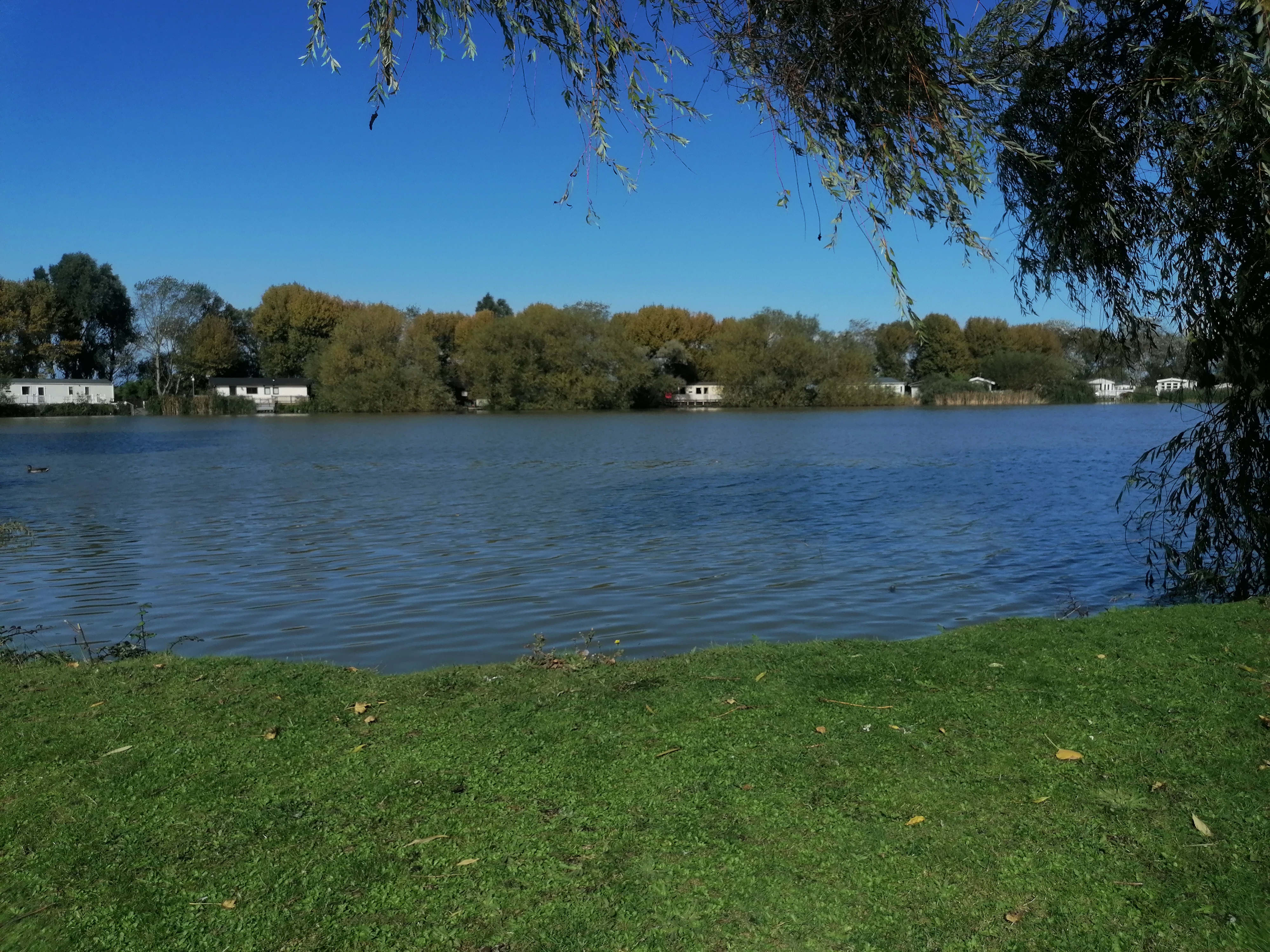 Fishing Lake